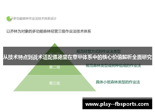 从技术特点到战术适配佩德里在意甲体系中的核心价值解析全面研究