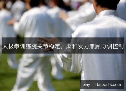 太极拳训练腕关节稳定,柔和发力兼顾协调控制 太极拳训练腕关节稳定,柔和发力兼顾协调控制